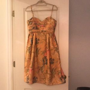 Anthropologie James Coviello Botanica Dress
